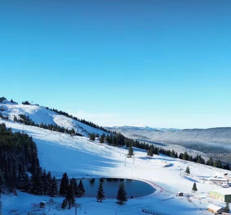 Avec Balcon, Au Pied Des Pistes Et Randos Lejlighed Villard-de-Lans Eksteriør billede